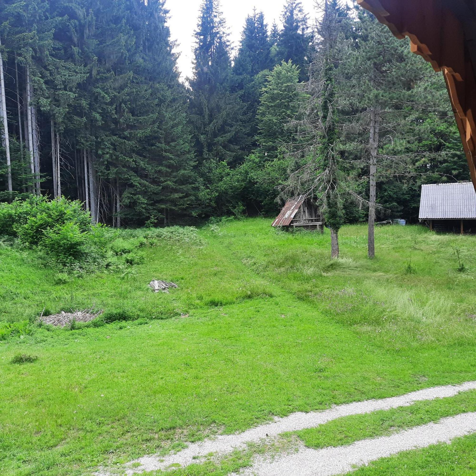 Koca V Gozdu, Forest House Near Bled Exteriör bild