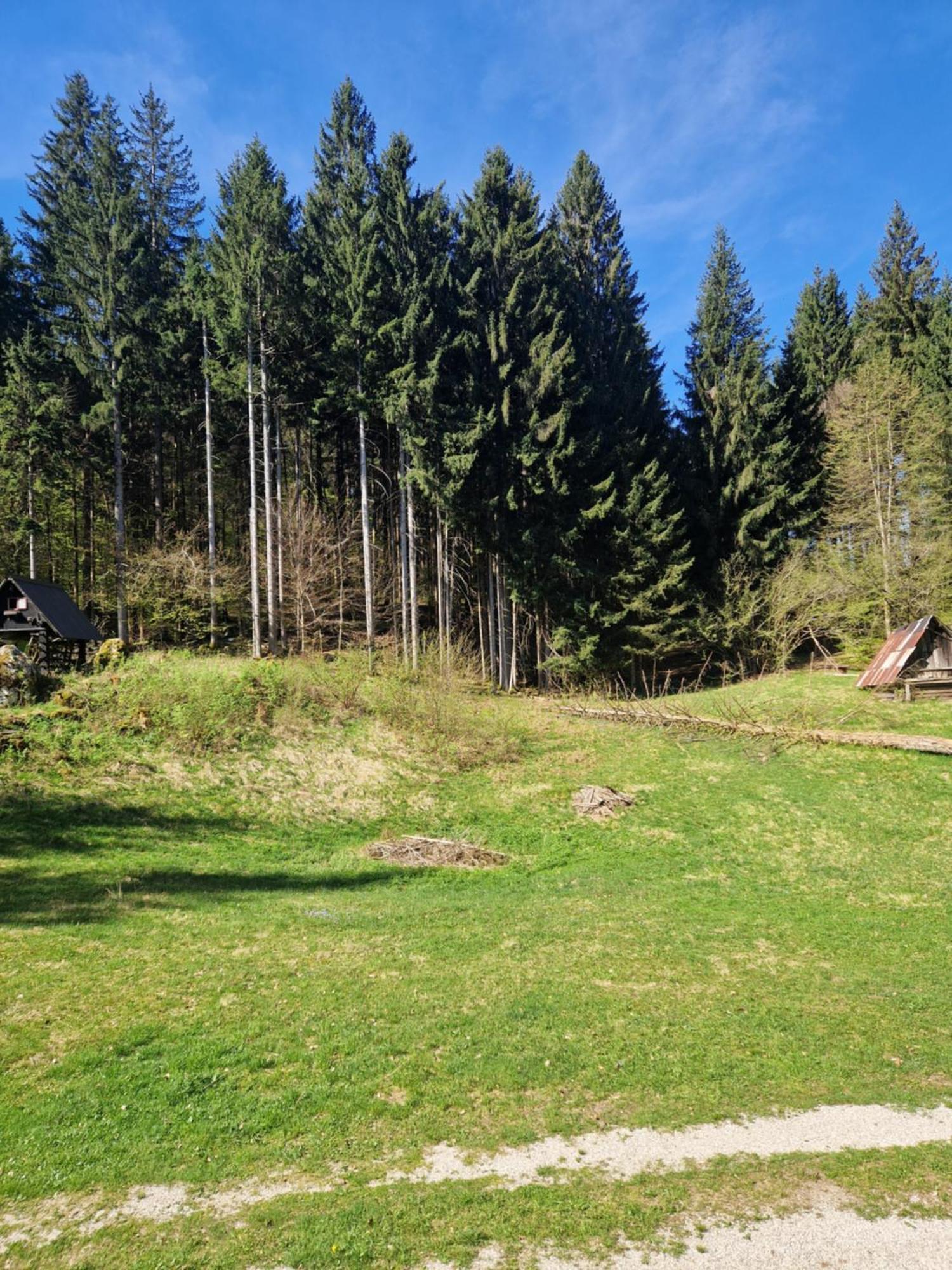 Koca V Gozdu, Forest House Near Bled Exteriör bild