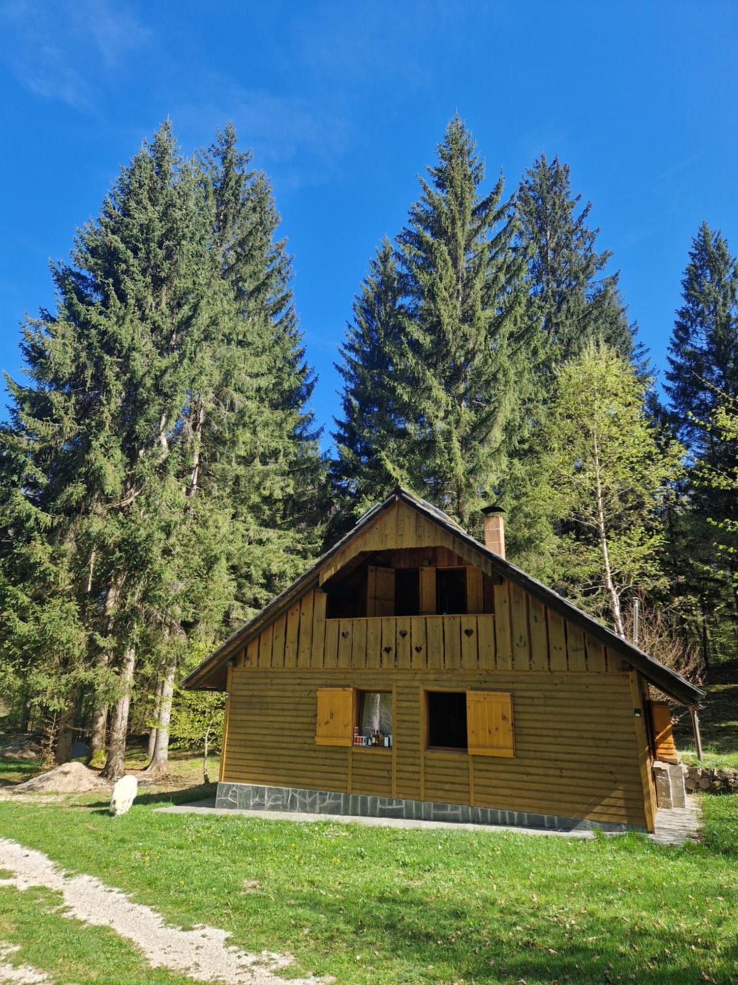 Koca V Gozdu, Forest House Near Bled Exteriör bild