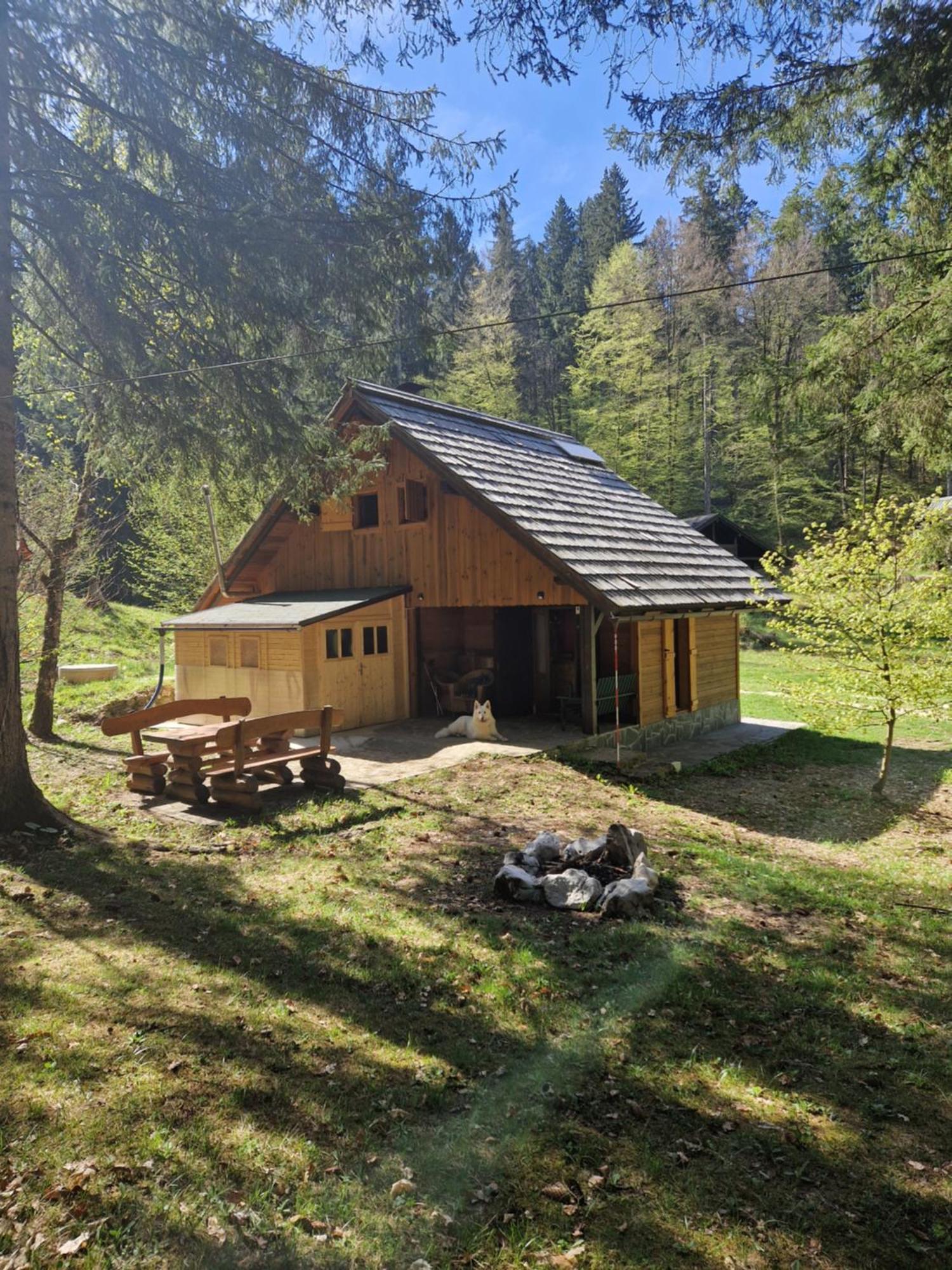 Koca V Gozdu, Forest House Near Bled Exteriör bild