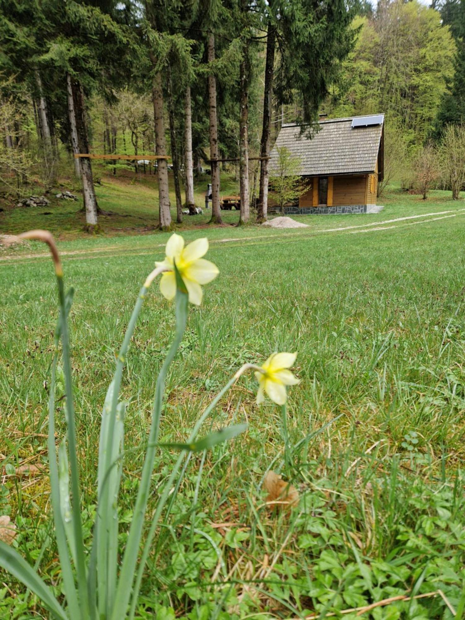 Koca V Gozdu, Forest House Near Bled Rum bild